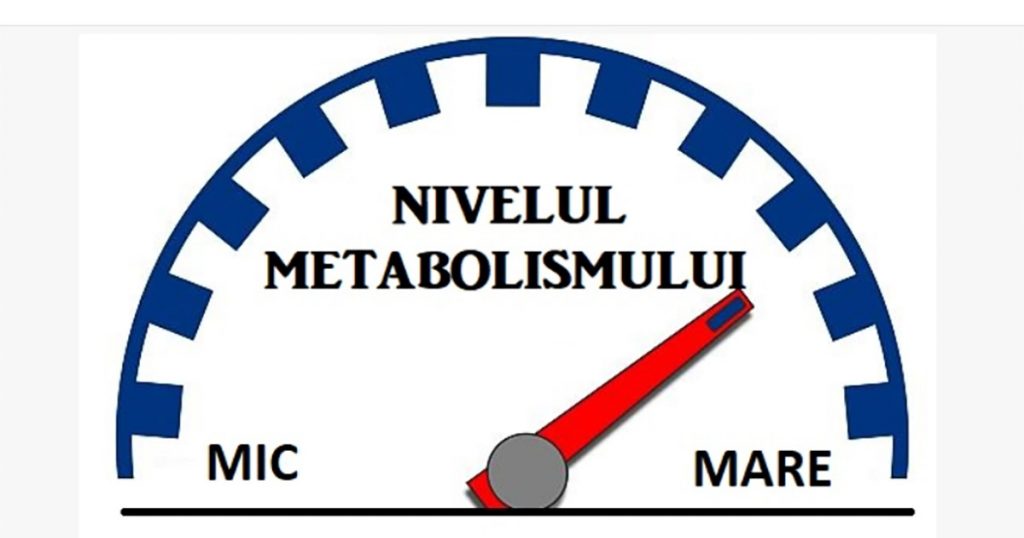 este un metabolism ridicat bun pentru pierderea în greutate)